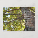 Search for tree branches postcards Leaves
