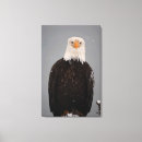 Search for alaska eagle art Portrait