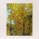 Search for aspen tree Foliage