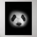 Search for panda face posters Bear
