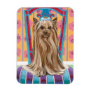 Search for crown rectangular magnets Dog
