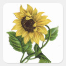 Search for vintage sunflower stickers Yellow