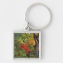 Search for kyoto key rings Green