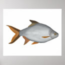 Search for mekong posters Asia