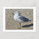 Search for the bill postcards Nature