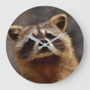 Search for cute raccoon art Raccoons