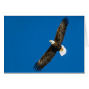 Search for clear blue sky Flying