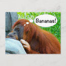 Search for funny monkey postcards Banana
