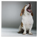 Search for dog breeds tiles Dogs