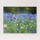 Search for cornflower puzzles Meadow