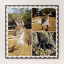 Search for kangaroo puzzles Marsupial