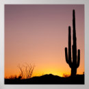Search for saguaro posters Tucson
