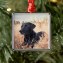 Search for black labrador christmas tree decorations Animal