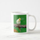 Search for cockatiels mugs Lutino