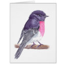 Search for robin watercolor cards Animal
