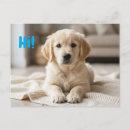Search for new puppy announcement postcards Dog