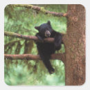 Search for omnivore stickers Fauna
