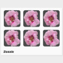 Search for pink rose painting stickers Purple