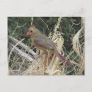 Search for northern postcards Autumn