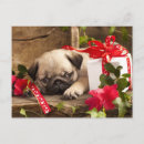 Search for pug puppy dog cards Bow