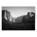 Search for adams photography Nature