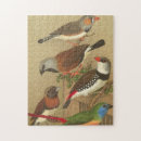 Search for colourful puzzles Bird