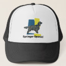 Search for springer hats Puppy
