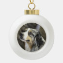Search for shepherd christmas tree decorations Usa