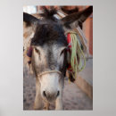 Search for san miguel posters Guanajuato