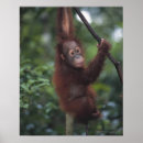 Search for climbing posters Outdoors