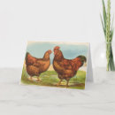 Search for rhode island cards Red