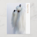 Search for purebred postcards Dog