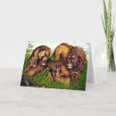 Search for lion pride cards Cub
