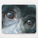 Search for cute monkey mousepads Animal
