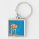 Search for gazelles key rings Animal