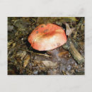 Search for medium postcards Landscape