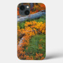 Search for berries ipad cases Green