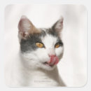 Search for licks stickers Cat