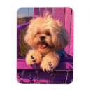 Search for hound puppy magnets Pooch