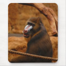Search for baboon mousepads Primate