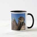 Search for mediterranean coast mugs North africa