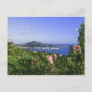Search for st thomas postcards Nature