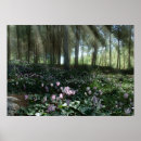 Search for forest land posters Flowers
