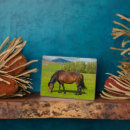 Search for horse plaques Ranch