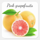 Search for grapefruit stickers Pink