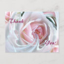 Search for rose bush cards Garden