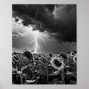 Search for thunder posters Lightning