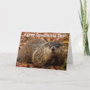 Search for groundhogs Happy groundhog day