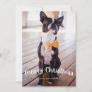 Search for fun family christmas cards Pet