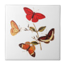 Search for insect gifts Colorful